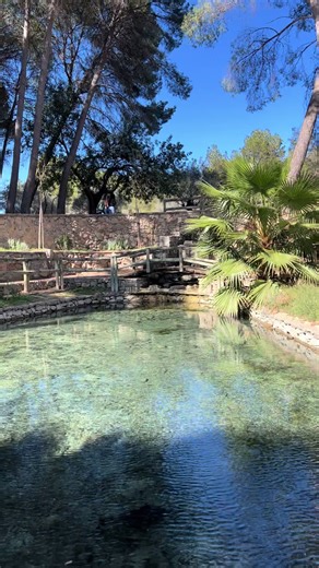 Un domingo en San Vicente es resetear la mente ✨ Si buscas un plan cerca de Valencia con agua cristalina y sombra, este parque es un 10/10. Dato curioso: este parque es famoso por sus Olmos monumentales. 🌳 Algunos tienen muchísimos años y forman parte de un ecosistema único en la zona. De hecho, el agua de los manantiales mantiene el suelo tan rico que la vegetación aquí es mucho más frondosa que en el resto de la comarca
