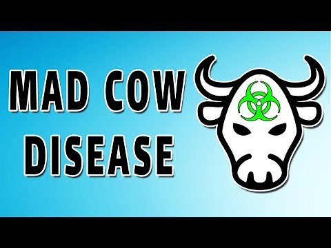 Mad Cow Disease (Prion Disease)