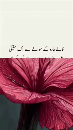 sajid ✍️ 💔 😭 (@sajidwriteline)’s videos with original sound - Vickdance