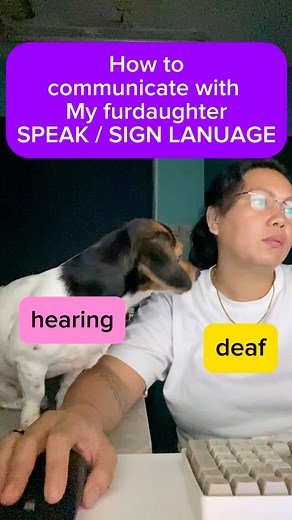 🌟✨ Unlock the beautiful bond with my furdaughter PANDA by learning to communicate through both spoken words and sign language! 🐾💖 🐾 #FurFamily #DogCommunication #SpeakAndSign #PawtasticBonding #FurDaughterLove #viralchallenge #viralreelschallenge2025viralreelschallengejaiviralreelschallengeviralreelschallenge #viralvideochallenge #thankyou | CLCTraveler's Journey