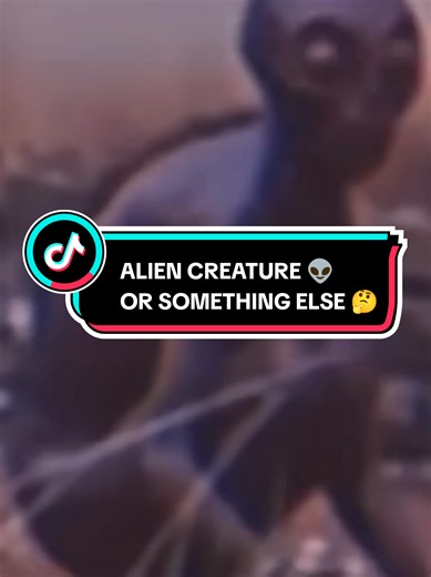 ALIEN CREATURE 👽 OR SOMETHING ELSE 🤔 #fyp #aliens #unidentified #reptilians #ufos Fair Use Credit Disclaimer This video contains material used for commentary, criticism, and educational discussion under Section 107 of the U.S. Copyright Act (Fair Use). All clips, footage, and images belong to their respective owners. This content has been transformed for entertainment and analysis within the realm of mystery, horror, and the unexplained. Viewer discretion… and curiosity… are always advised. © 