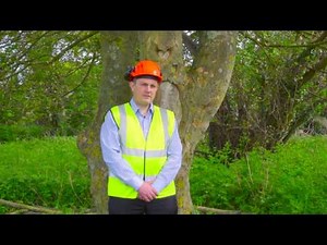 BS5837 Tree Survey for Tree Report, Arboricultural Impact Assessment and Method Statement Planning