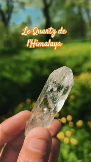 Ce Cristal de Roche de l'Himalaya est UNIQUE au Monde ! 🌟 #quartz