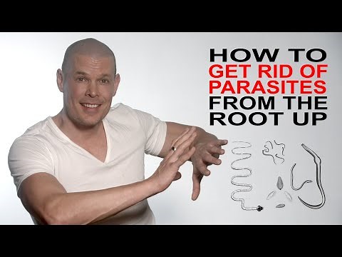 How to get rid of parasites in the human body from the very root cause up once and for all