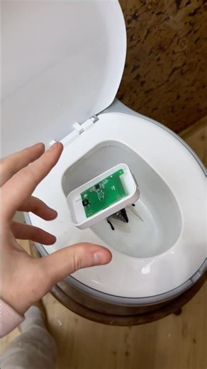 Don’t Throw Doorbell in Toilet! 😰🚽