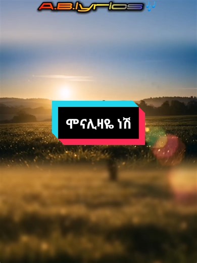 #tulahu_ሞናሊዛዬነሽ #a_b_lyrics_🇪🇹🎶
