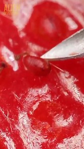 1.4K views | Macro views compilation [ AlienInventory] | Substance News | Facebook