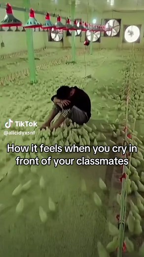 Crying in Class: A School Life Experience
