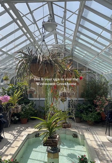 Explore the Westmount Greenhouse in Montreal