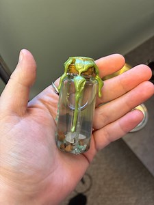 Medium Spell Jars: Abundance and Luck - Etsy