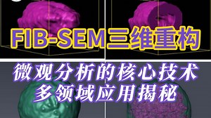 FIB-SEM 三维重构：微观分析的核心技术，多领域应用揭秘——材料表征TEM测试（透射电镜）基础知识