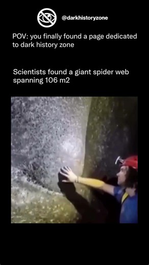 Scientists found a giant spider web spanning over 1,141 square ft