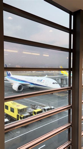 ANA Boeing 787 Dreamliner ✈️