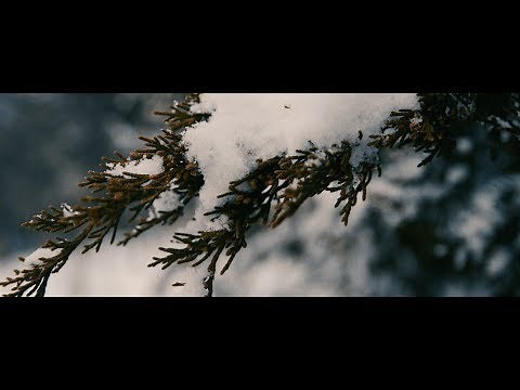 Cinematic Snow B-Roll | Sony A7SII