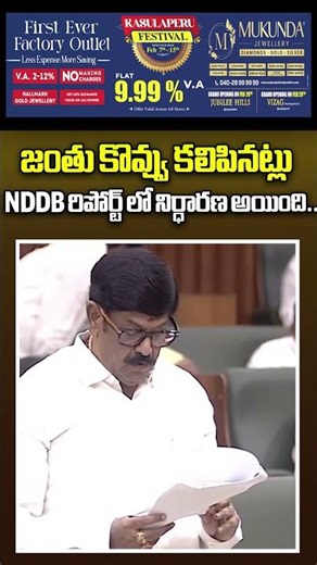జంతు కొవ్వు కలిపినట్లు NDDB రిపోర్ట్ లో నిర్ధారణ అయింది..Tirumala Kalthi Laddu | Mahaa News