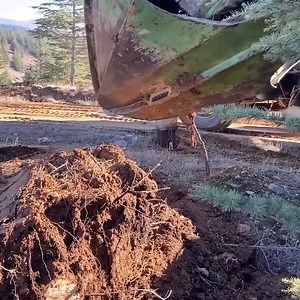 176K views · 1.5K reactions | tree planting truck | Beautiful Life | Facebook