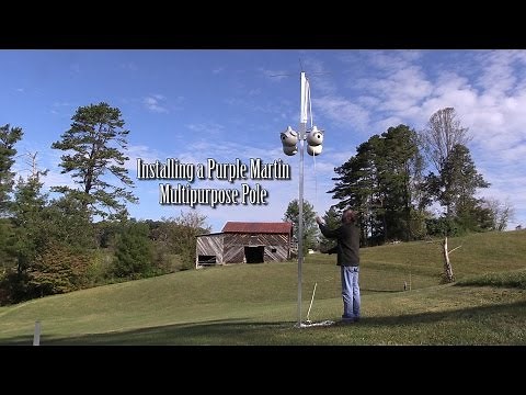 Purple Martin Multipurpose Pole Installation