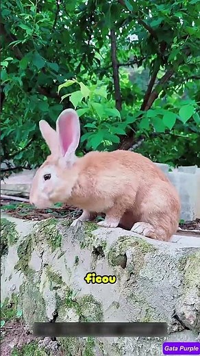 A reação dos pais vai te emocionar 😭❤️