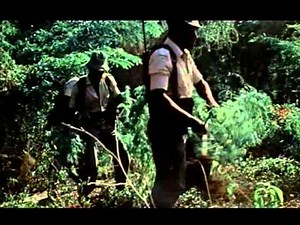 Jimmy Cliff On Career 'Rebirth' And The Nature Of Success