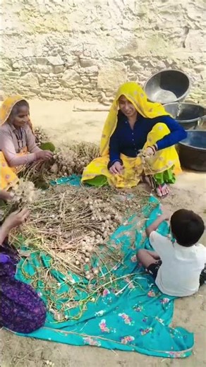 new reel meena geet #meena song