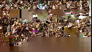 5.5K views · 915 reactions | A glimpse into one of our very first Youtube Videos with Sherpa | Sherpa's Day | Facebook