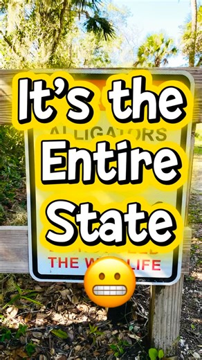 🎶 Welcome to the Danger Zone 🎶 Florida house-hunting starter pack: ✅ Sunshine ✅ Beaches ✅ Palm trees ✅ The occasional… Danger Noodle 🐍 or Murder Log 🐊 spotting. Before you panic, no, we are not hosting auditions for Jurassic Park: East Coast Florida Edition. This is just another casual day in paradise where the critters have as much personality as the neighbors. 🏝️💪🏻🧂Honestly, if you do not see at least one sign like this… are you even in Florida? 🩴 Pack your flip-flops, your sense of a