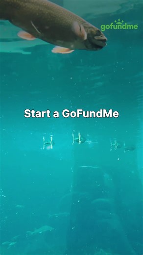 Whether it’s an emergency, a dream, or an unexpected expense, GoFundMe puts support at your fingertips. Start a GoFundMe today! | GoFundMe