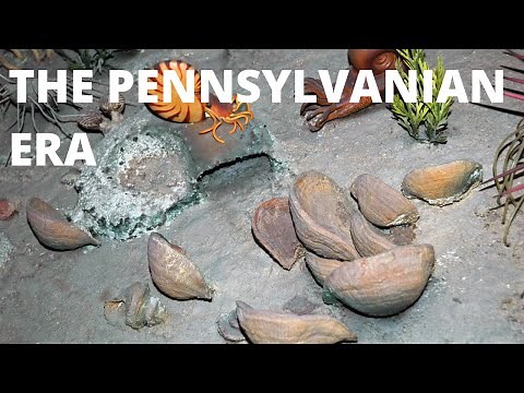 The Pennsylvanian era
