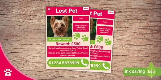 Missing Pet - Editable Flyer Template