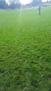 17 reactions | The Falconer is excited to start offering in April training and flight experiences! Keep an eye out for dates and more info! Pricing: $25 per person at open sessions, $500 for private group experiences. An amazing experience to try out or a great way to add a special something to an event! | The Falconer | Facebook