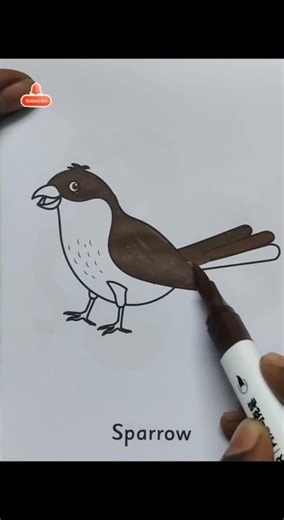 Beautiful Sparrow Colouring Drawing for Kids | Easy Bird Coloring Page