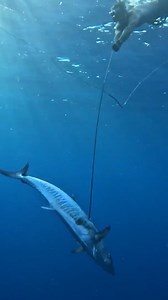 Underwater Fishing Is Crazy! 😱 | Back 2 Basics Adventures