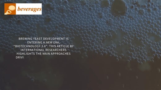 All articles in Beverages (ISSN 2306-5710) Vol 11, Issue 4, are now freely available to access, read and download: https://brnw.ch/21wXb9k COVER STORY: Brewing yeast development is entering a new era, “Biotechnology 3.0”. This article by international researchers highlights the main approaches driving this transition and their respective pros and cons. Genetic engineering enables multiplexed modifications, though its application in Europe remains restricted by regulations and consumer acceptance