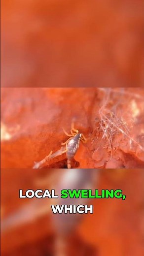 What a bark scorpion sting actually does to you #survival #wildlife