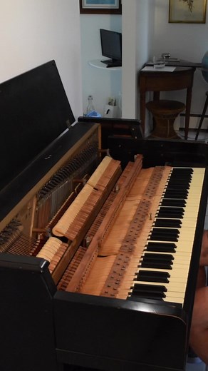 Spinet Piano Needs a Fixin’ (4 of 4) Part four is here! 1989 is alive again. After this Swift four part series, I’ve been able to Taylor the sound to what a piano should sound like. Don’t worry! I have plenty more pianos to rip apart. #pi#pianopi#pianotechnicianp#upirghtpianosp#spinetsp#spinetpianoDI#DIYfi#fixitfi#fixityourselfbr#breakstuffpi#pianohammerst#stickykeywh#whippenpi#pianotechpi#pianodoctorgr#graphiccl#clppr#protekgr#gramsgaugesp#specializedtoolso#workshop