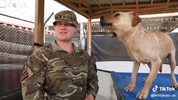 Understanding the Role of the British Army