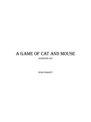 A Game of Cat and Mouse
