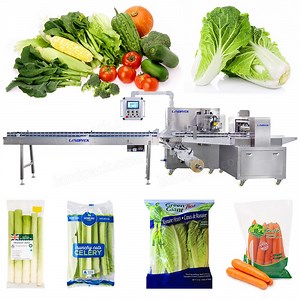 [Hot Item] Automatic Reciprocating Type Vegetable Fresh Fruit Bag Packing Machine Fruit Packaging Machinery