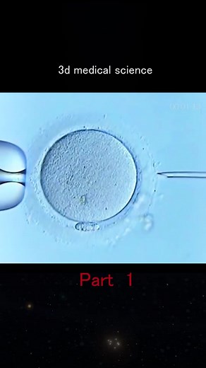 user7018049928119 on TikTok