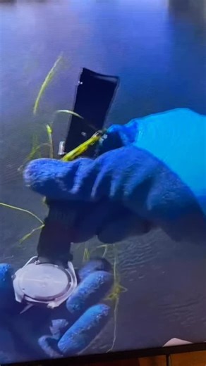 @vintageseiko on Instagram: "Magnet fishing 🎣 in Australia Sorry poor audio…..bro will need to get himself a de-magnetiser as well. Maybe the eco will be ok ..This is my new YT fetish 😂 #magnetfishing"