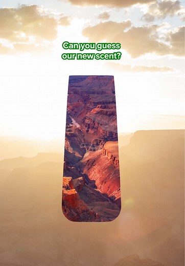 Think legendary 🏜️ #IrishSpring #fresh #scent #showertok #bodywash #soaptok #soap #shower #soapking