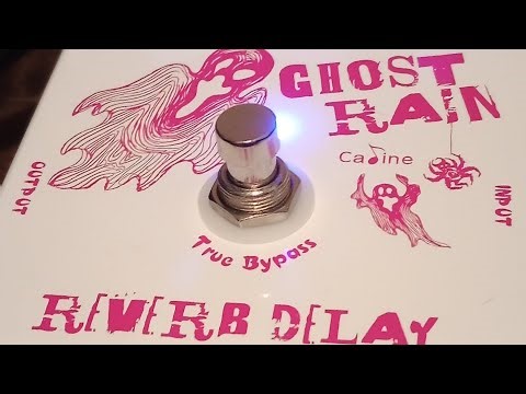 The Caline Ghost Rain Reverb/Delay Pedal.