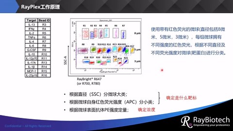 流式多因子技术原理讲解（一）|RayBiotech