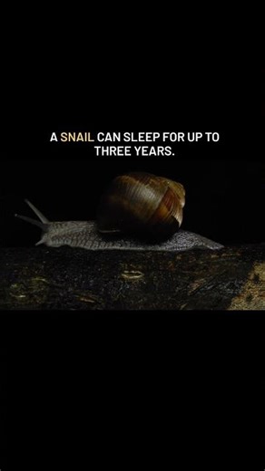 #space #planet #moon #edit #memes #universe #earth #spacefacts #haveitoldyoulatelythatiloveyou