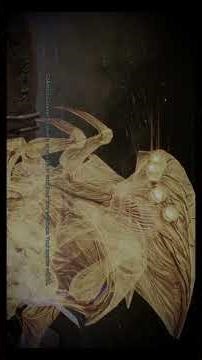 Mass Relay In Mass Effect 2, #pcgaming #shortsgaming