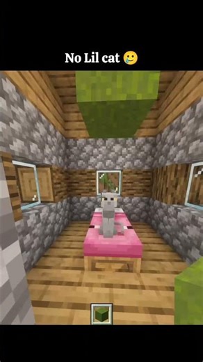 No Lil cat 🥲 #audio
