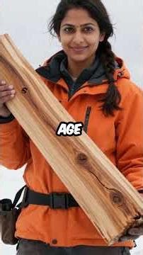 Alaska's 40,000 Year Old Trees Are Stronger Than Steel