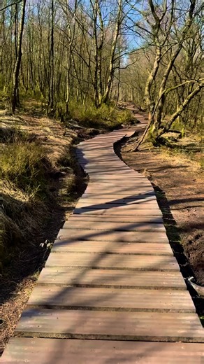 @bekkisadventures stepping into the mossy depths of Lud’s Church, a hidden gorge that feels like a secret straight out of legend 🌿🕳️ This deep, narrow chasm was formed by a giant landslip, its damp walls cloaked in ferns and moss that drip with mystery. Local tales say it was once a secret meeting place for outlawed worshippers, and some even link it to the legends of Robin Hood and the Green Chapel from Sir Gawain and the Green Knight. 📍 Where: Near Gradbach, Staffordshire, Peak District 🌿 