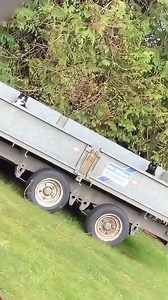 22K views · 674 reactions | So this is why they call it “copy cat” ! #catvideo #catlovers #cats | Cat Memes | Facebook