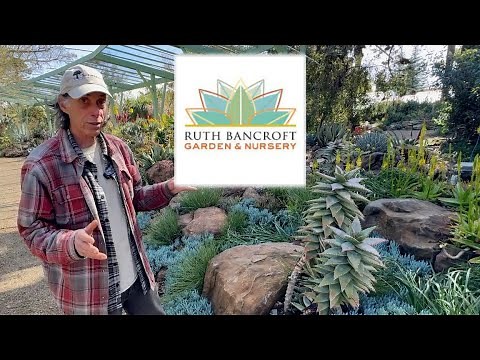 Touring the “Most Beautiful Garden in the World” with the Curator! 🌿 Ruth Bancroft Garden Tour